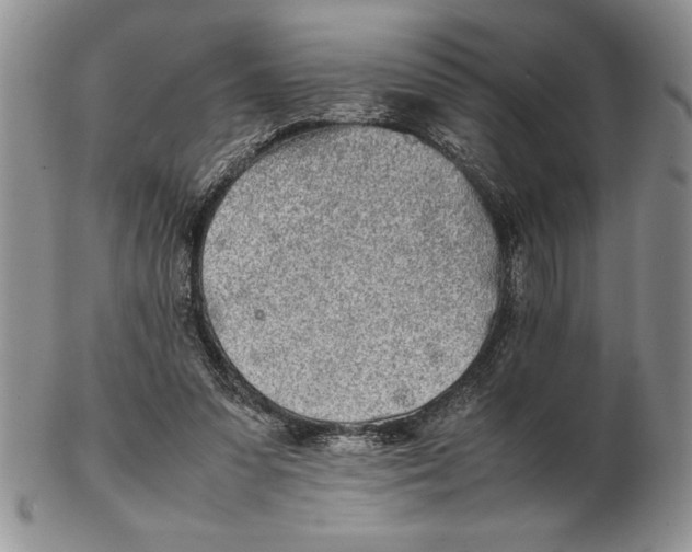 X0000102260303200808221421