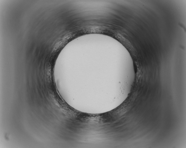 X0000102260306200808221421
