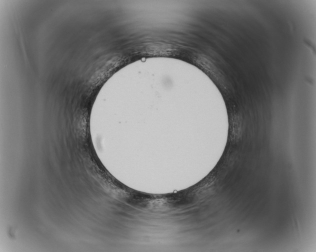 X0000102260309200808221421