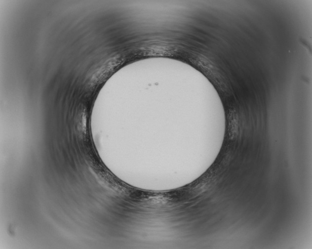 X0000102260310200808221421