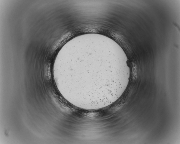 X0000102260312200808221421