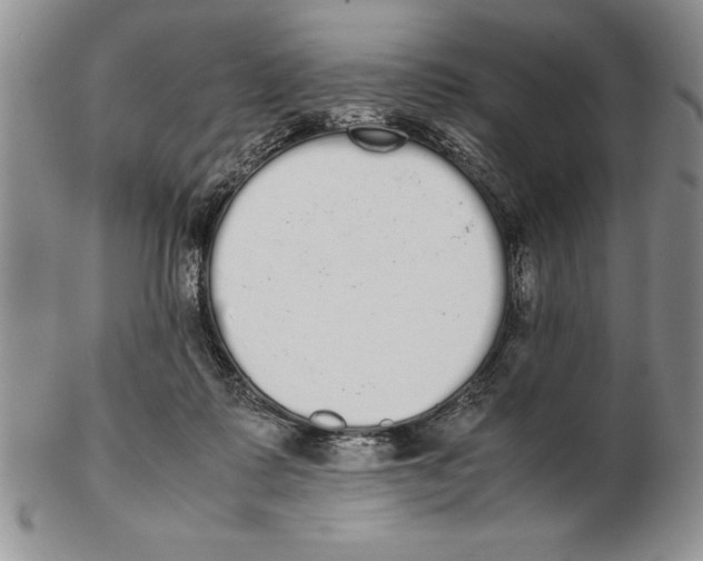 X0000102260315200808221421
