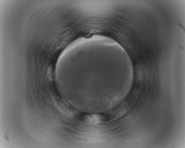 X0000102260316200808221421