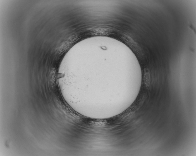 X0000102260318200808221421