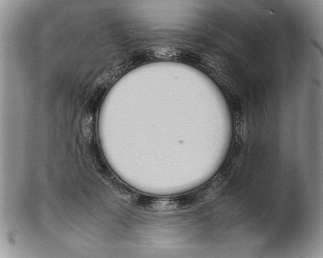 X0000102260319200808221421