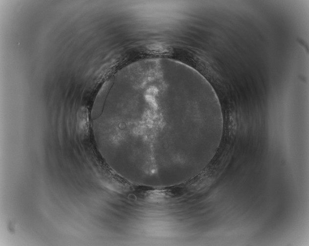 X0000102260320200808221421