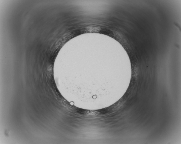X0000102260321200808221421