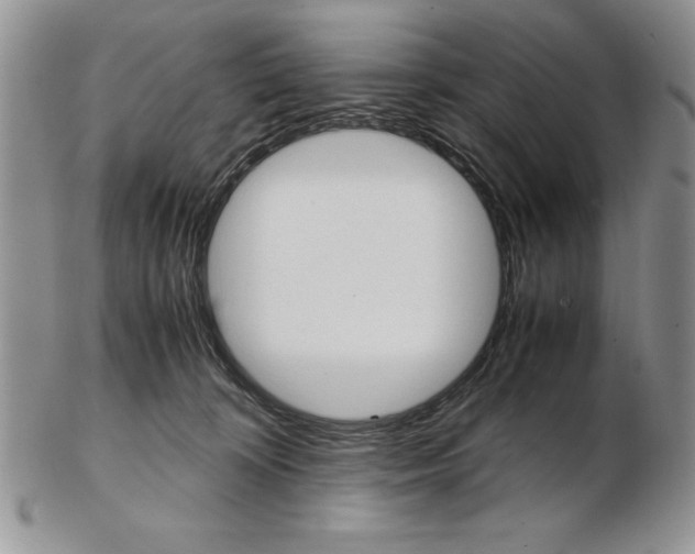 X0000102260324200808221421