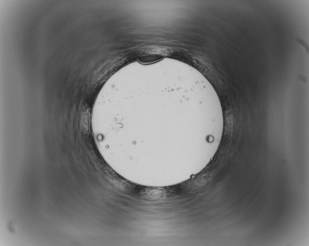 X0000102260325200808221421