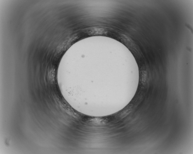 X0000102260326200808221421