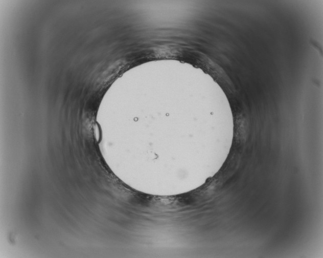 X0000102260329200808221421