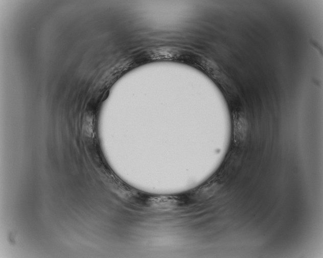 X0000102260331200808221421