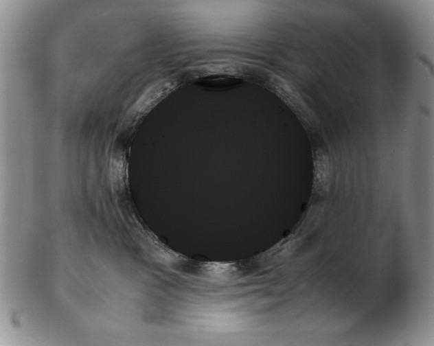 X0000102260333200808221421