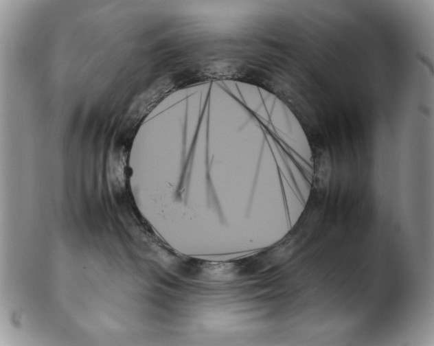 X0000102260334200808221421