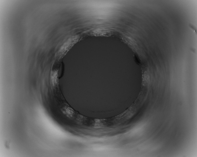X0000102260335200808221421