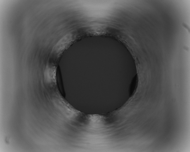 X0000102260336200808221421