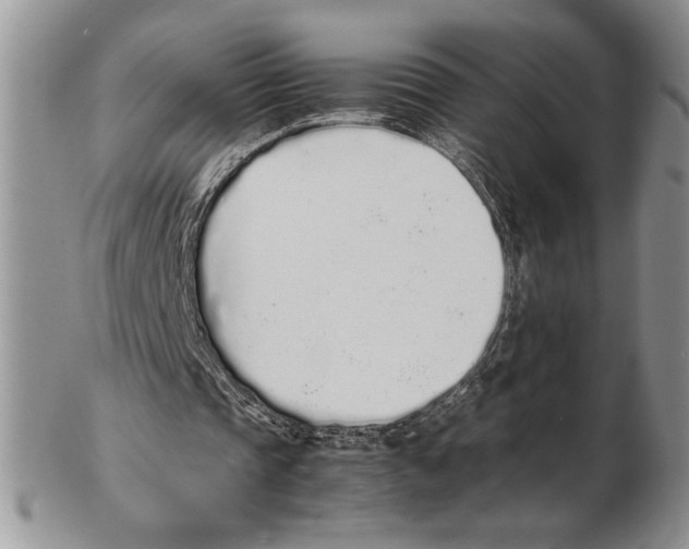 X0000102260337200808221420