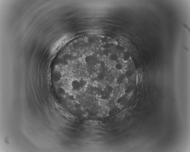 X0000102260339200808221420