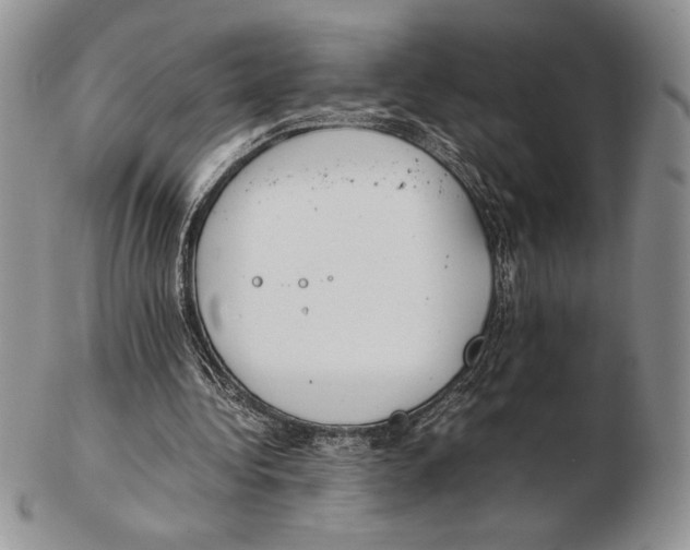 X0000102260340200808221420