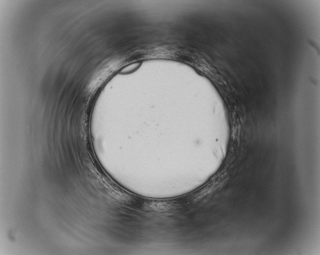 X0000102260341200808221420