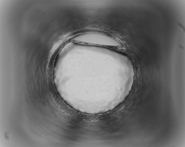 X0000102260343200808221420