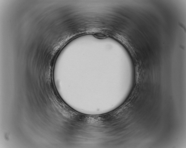X0000102260346200808221420