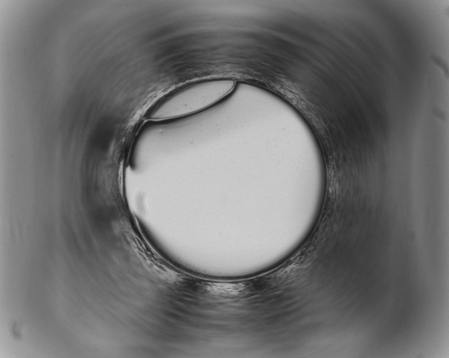 X0000102260347200808221420