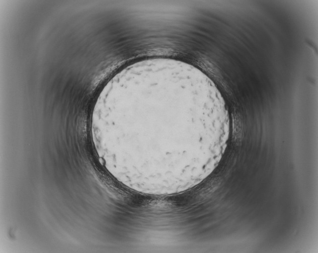 X0000102260348200808221420