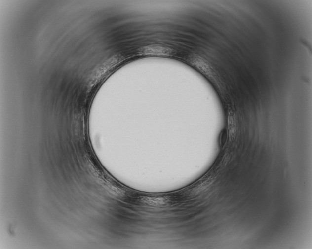 X0000102260349200808221420