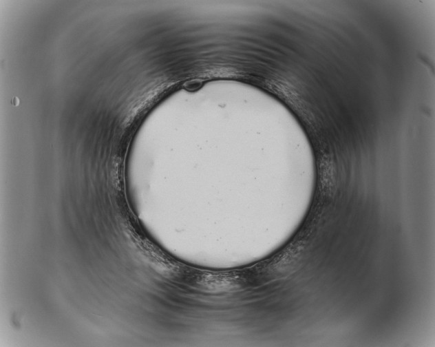 X0000102260351200808221420