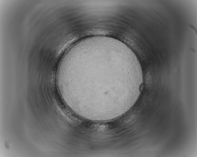 X0000102260352200808221420