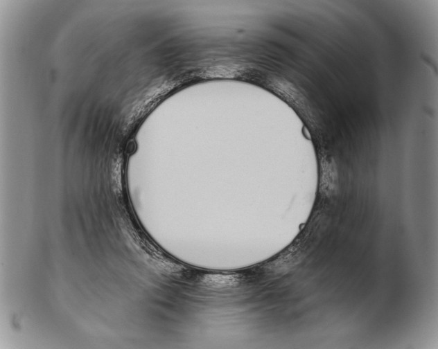 X0000102260354200808221420