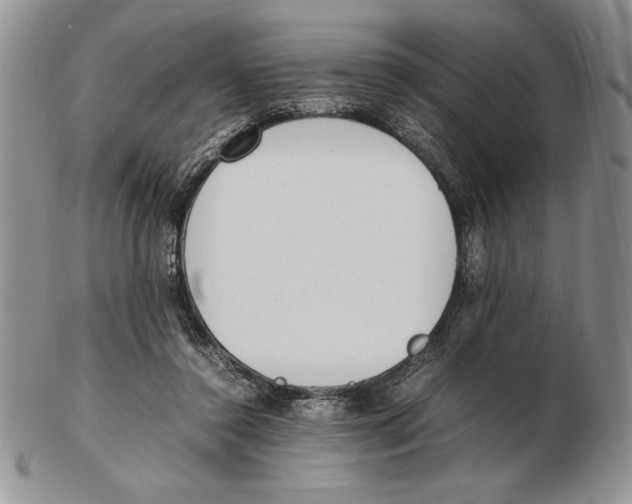 X0000102260356200808221420