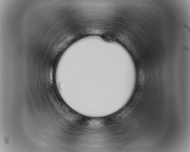 X0000102260358200808221420
