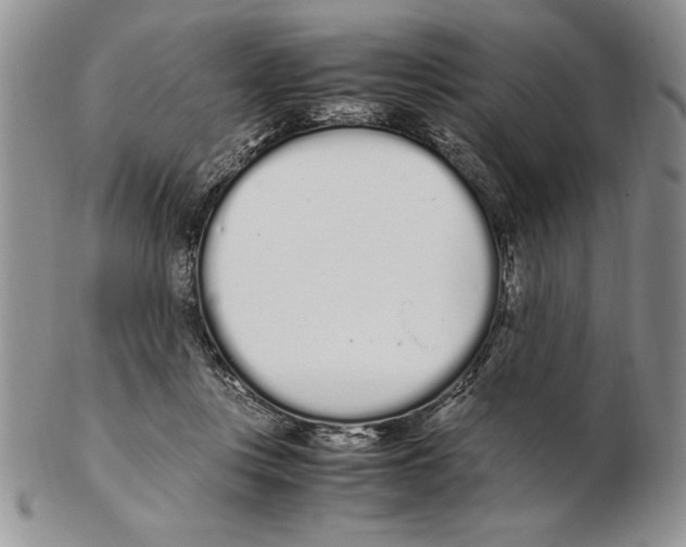 X0000102260359200808221420