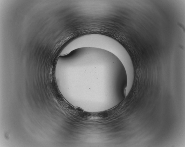 X0000102260360200808221420