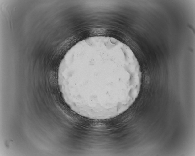 X0000102260361200808221420