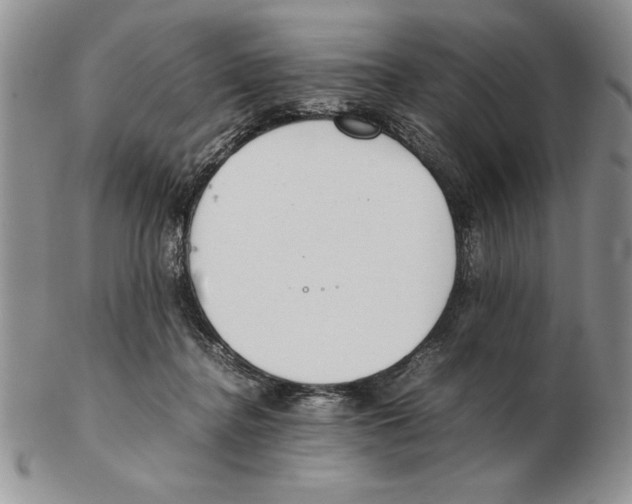 X0000102260364200808221420