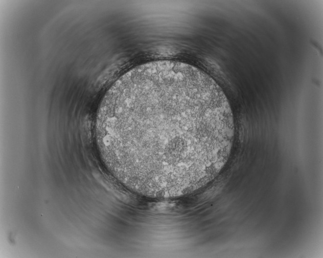 X0000102260366200808221420