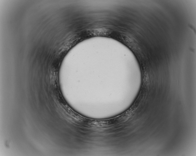 X0000102260367200808221420