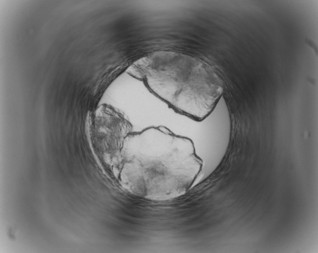 X0000102260369200808221420