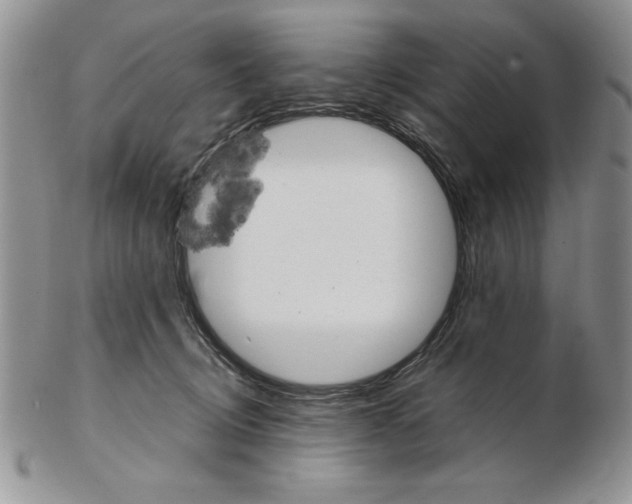 X0000102260370200808221420