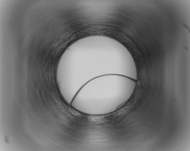 X0000102260372200808221420