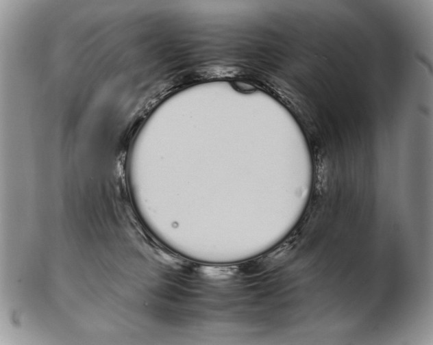 X0000102260373200808221420