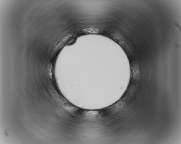 X0000102260374200808221420