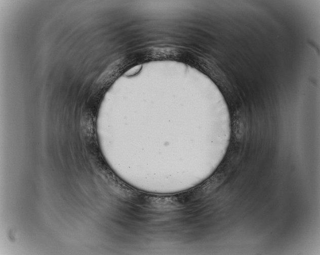 X0000102260375200808221420