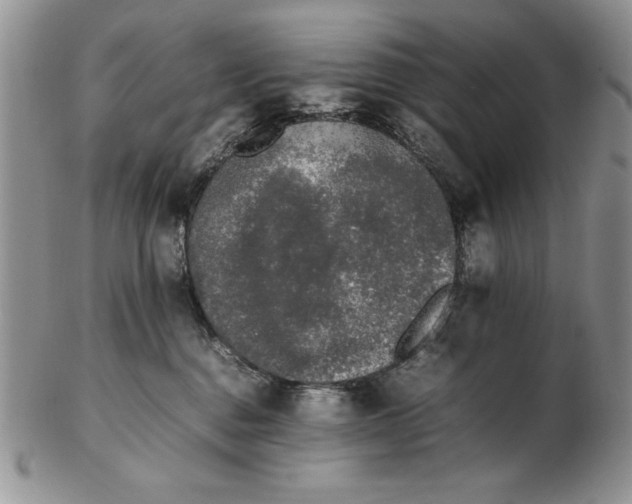 X0000102260376200808221420
