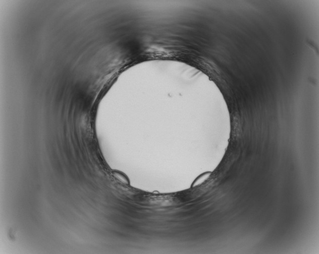 X0000102260377200808221420