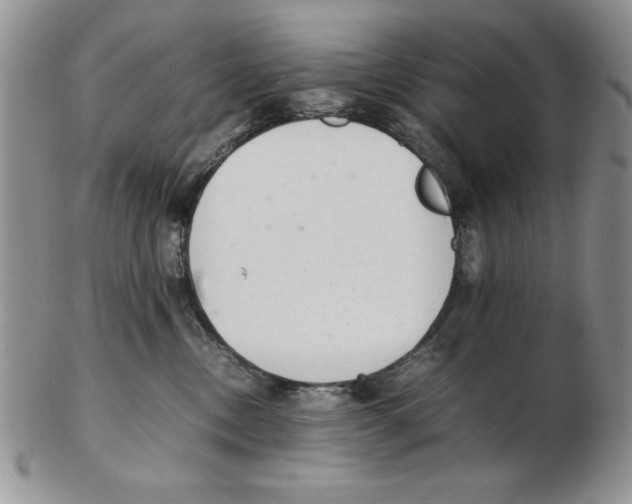 X0000102260378200808221421