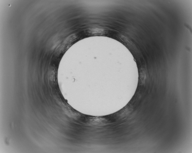 X0000102260379200808221421
